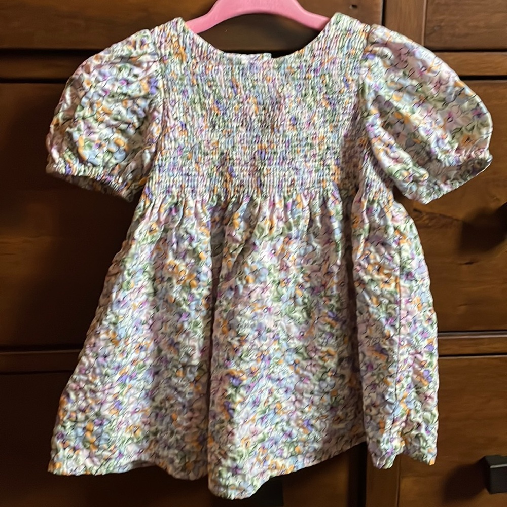 Beautiful floral smocked baby dress from Zara, 9-12mos